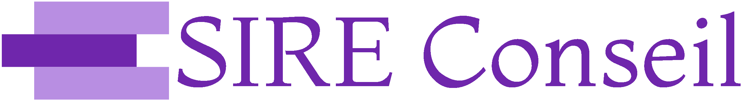 SIRE Conseil